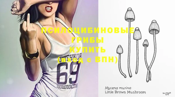 a pvp Зеленокумск
