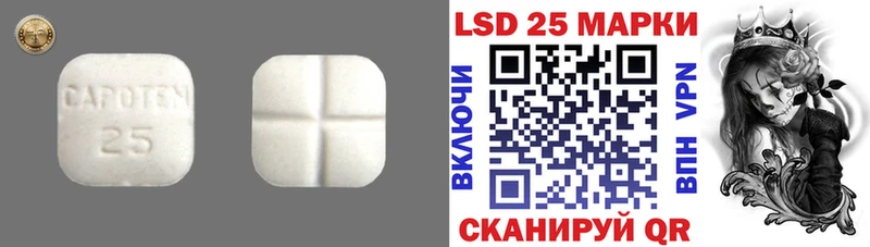 LSD-25 экстази ecstasy  OMG   Заводоуковск 
