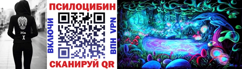что такое   Заводоуковск  Псилоцибиновые грибы прущие грибы 