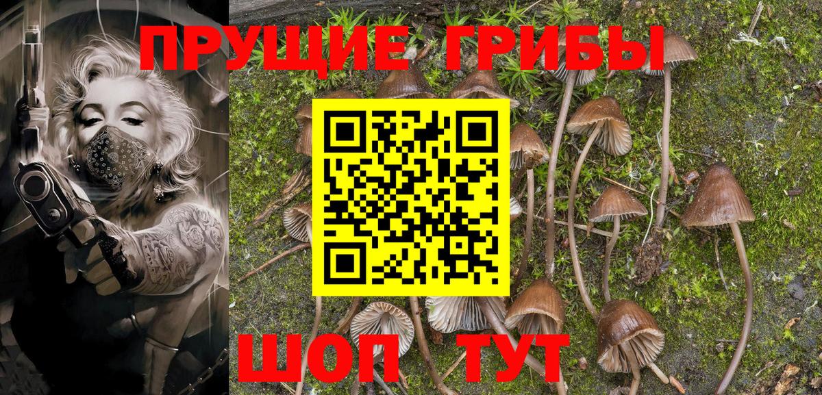 Псилоцибиновые грибы MAGIC MUSHROOMS  Вход с VPN  Заводоуковск 